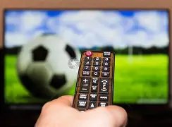 王欣瑜郑赛,赛轻松挺进,澳网女双,世界杯赛事,2026年世界杯,赛事动态,参赛球队,赛事安排