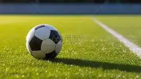 “英超收官战：埃弗顿与莱斯特城濒临降级边缘！”