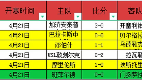 拜仁新星將接替羅伊斯參賽歐洲杯